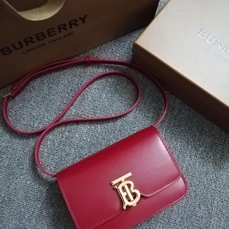 B**rry satchel bags